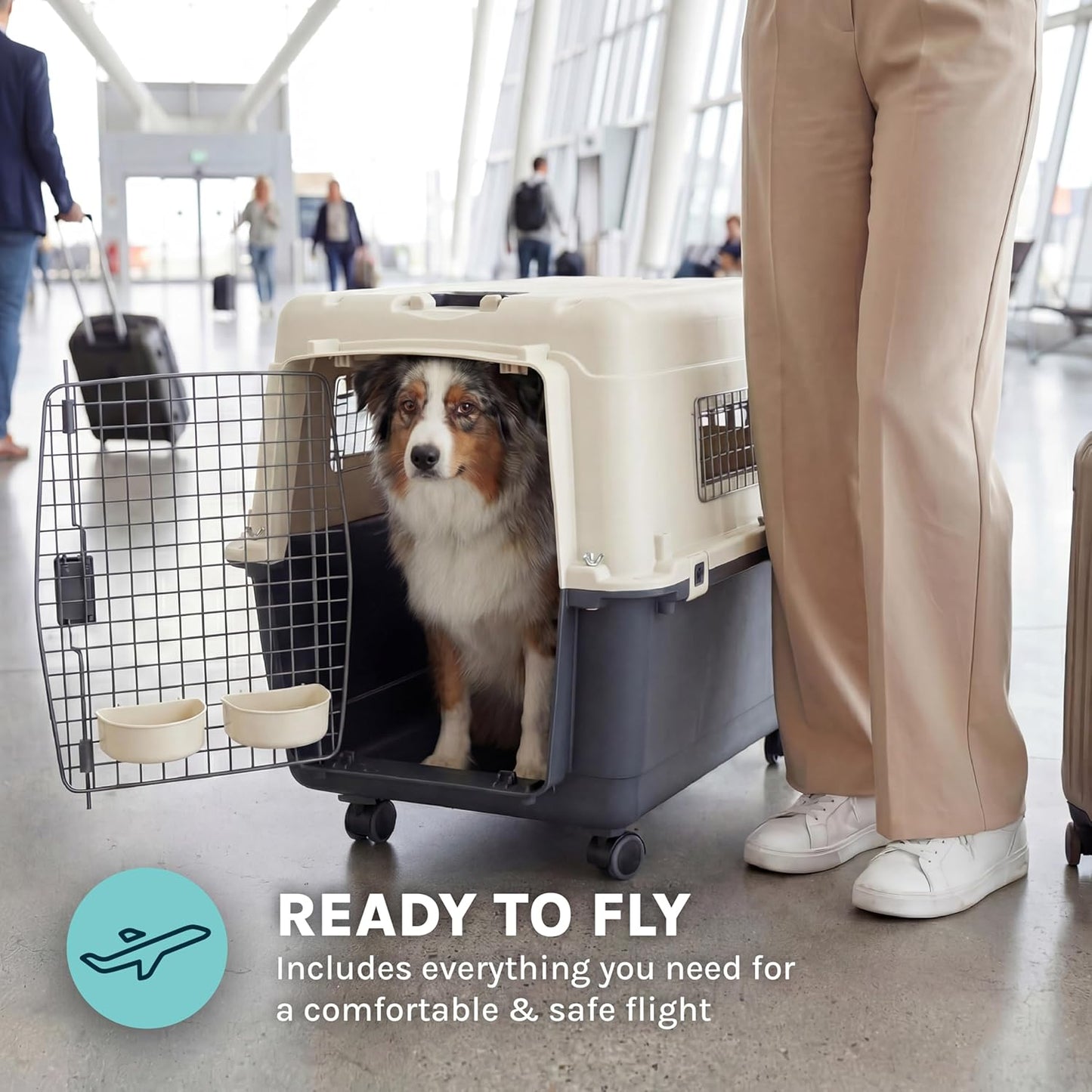 Sportpet Airline Compliant Large 31.5" Travel Dog Kennel - Durable Plastic Pet Carrier with Removable Wheels and Food Bowls, Collapsible for Indoor/Outdoor Use, Suitable for Dogs up to 28"L and 20"H - Cream/Gray